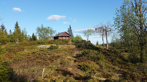 Koia på Tjæregrashøgda