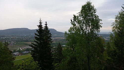 Mot Kolsås fra Svartoråsen