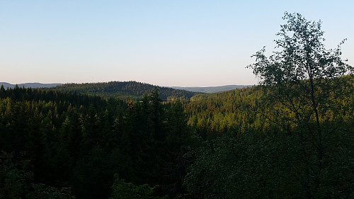 Utsikt mot Triungsvann fra svarte skogen