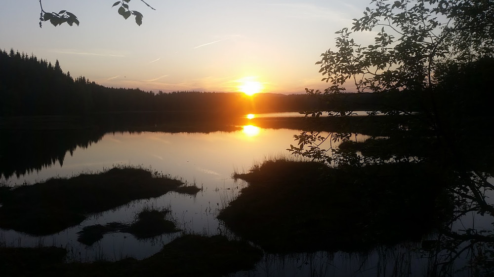 Triungsvanna i solnedgang