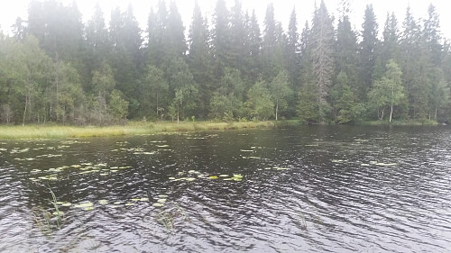 Sandungskroktjern