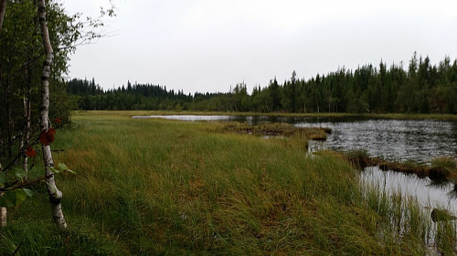 Sandungskroktjern