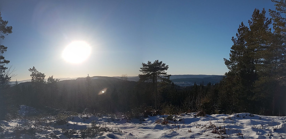 Brunkollen