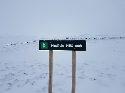 Hindflyin