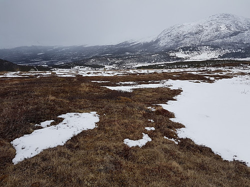 Snøen som forsvant