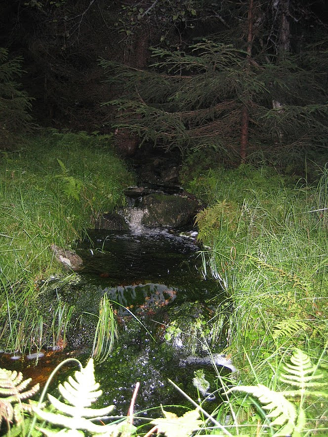 Søttjenndalen