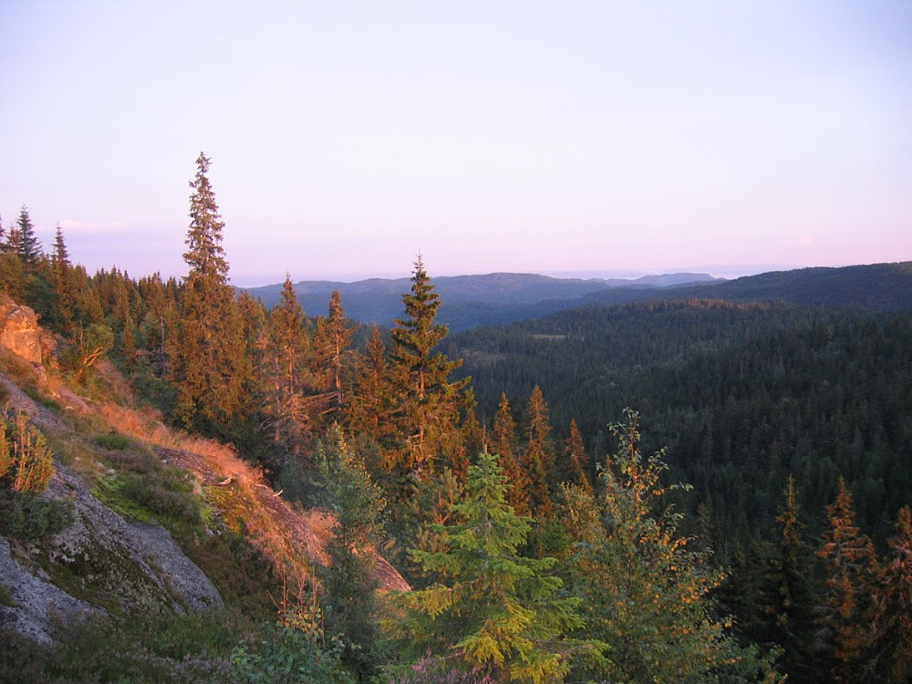 Nordvestre Kjerkeberget utsikt