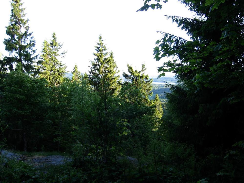 Fra Hansakollen