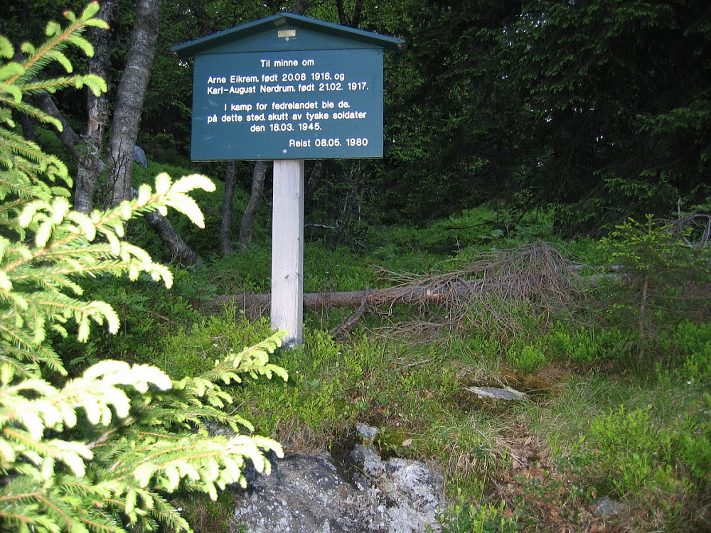 Mot Vittenbergkollen