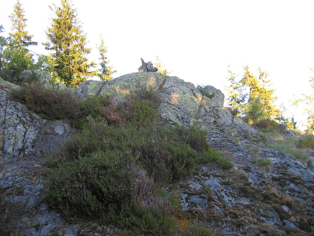 Mellomkollen