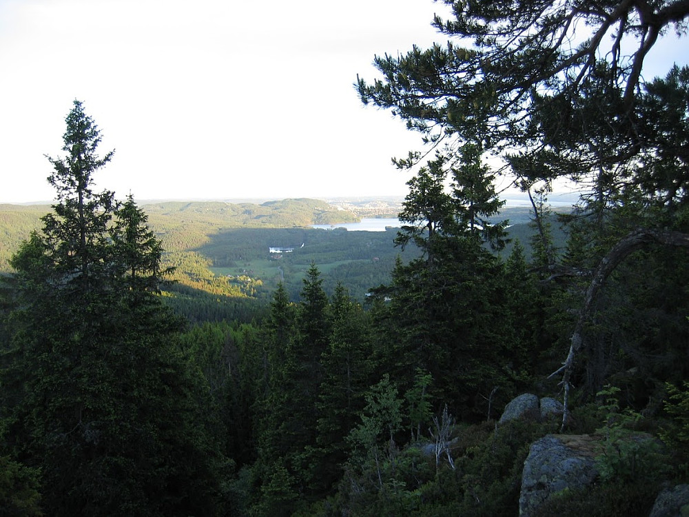 Fra Mellomkollen