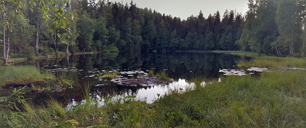 Fiskelaus i kveldsdrakt