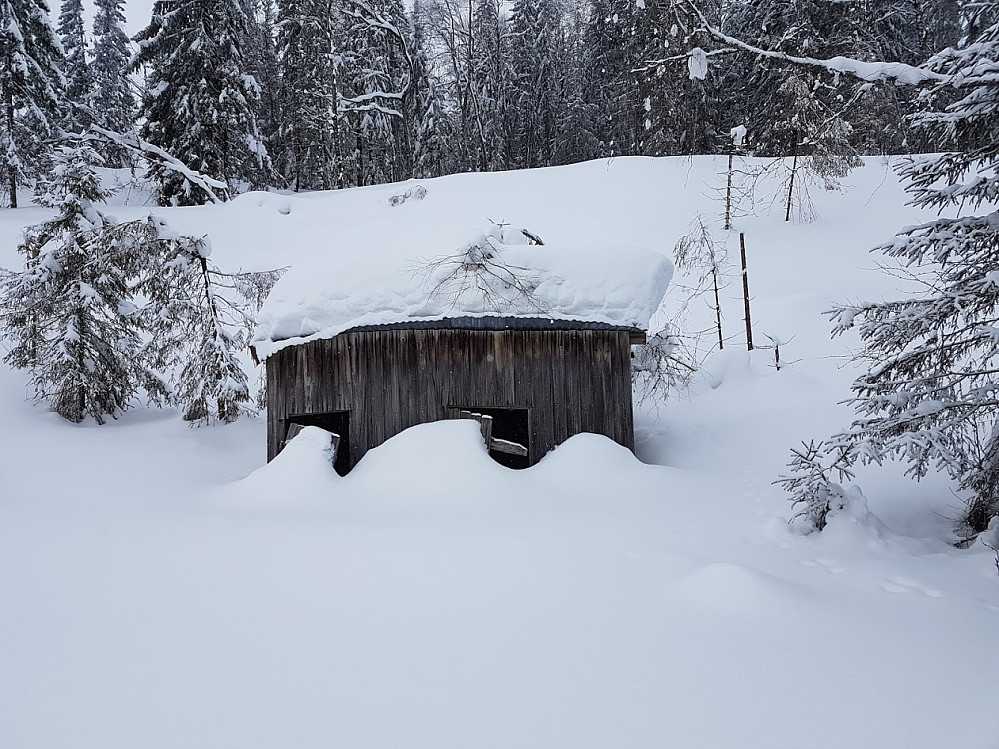 Nedsnødd