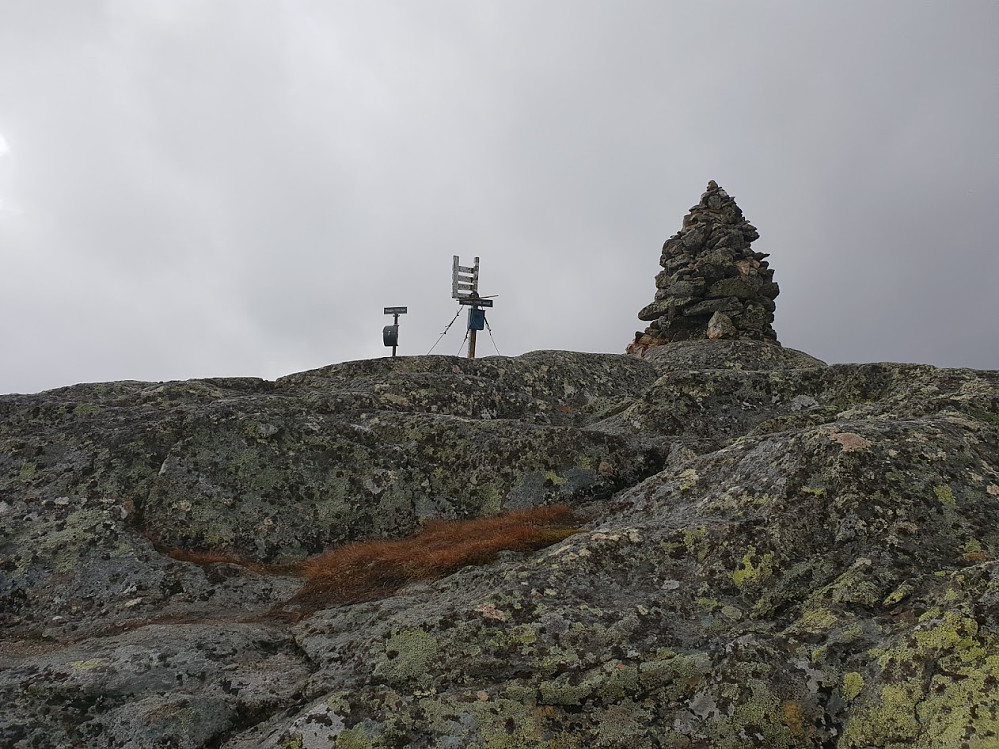 Røgjin
