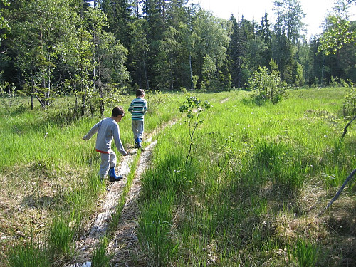 På vei over Andtjernsmyrene