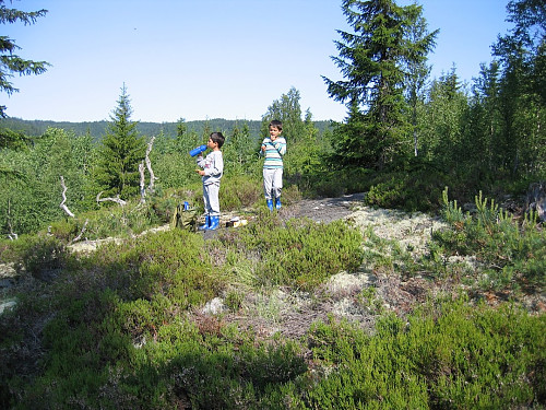 Andtjernåsen