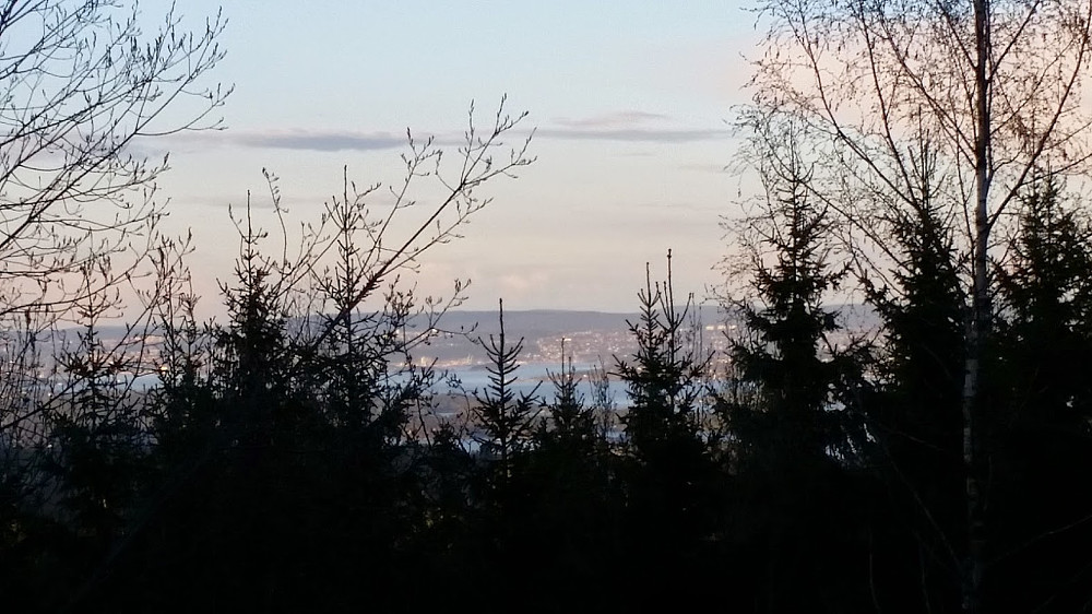 Fra Høgåsen