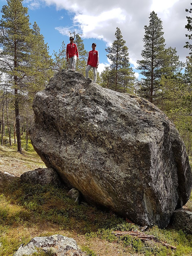I skogen ved Ridderspranget