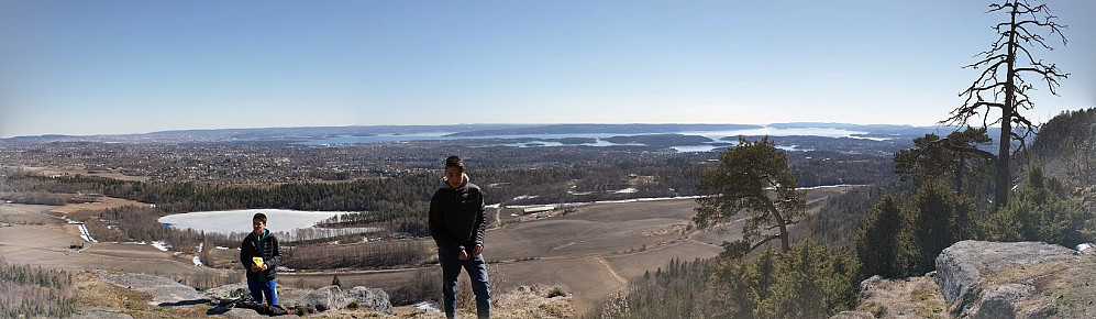 Gråmagan