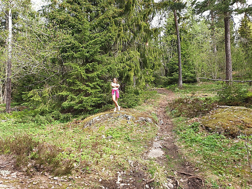 Hvilestopp på veien til Garlaushøgda
