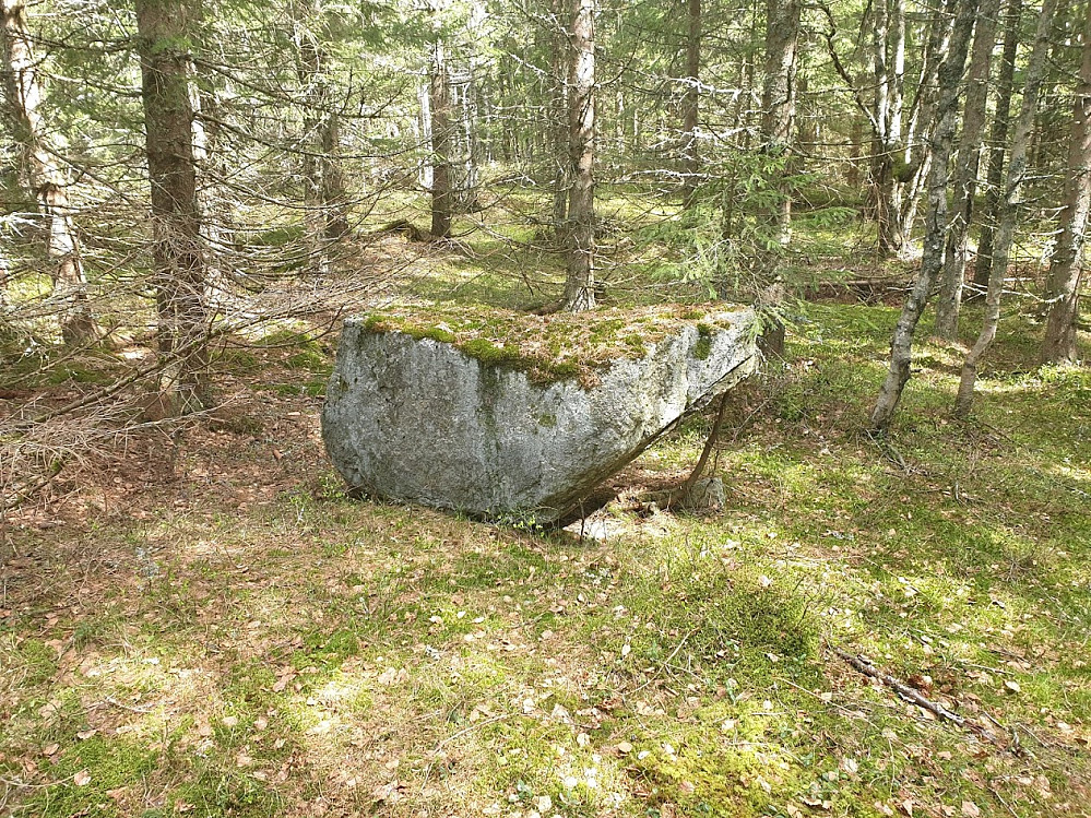 Kuul vippestein i nærheten av Kleggmyråsen. Jeg fikk vippet den litt, men den vipper pent tilbake på plass.