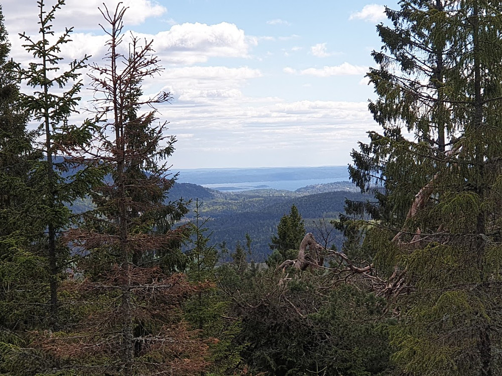 Utsikt fra Orrhaneåsen, mot Oslofjorden.