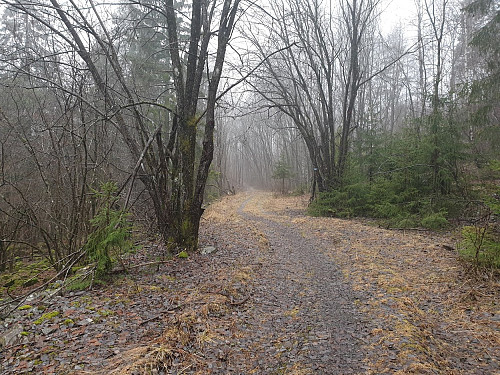 Vinterskog?
