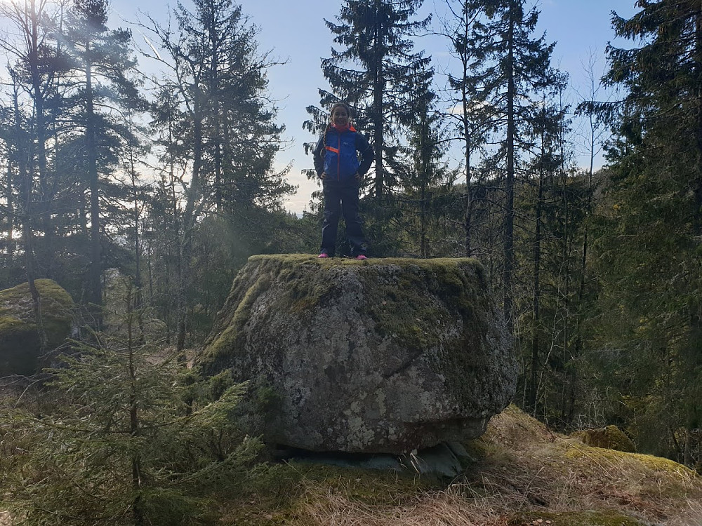 Jentungen på fantesteinen