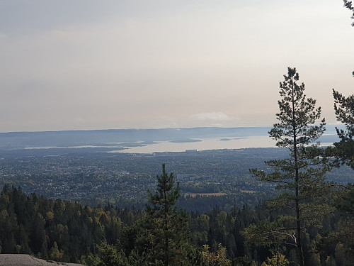 Nordre Kolsås. Vestsiden mot Fornebu