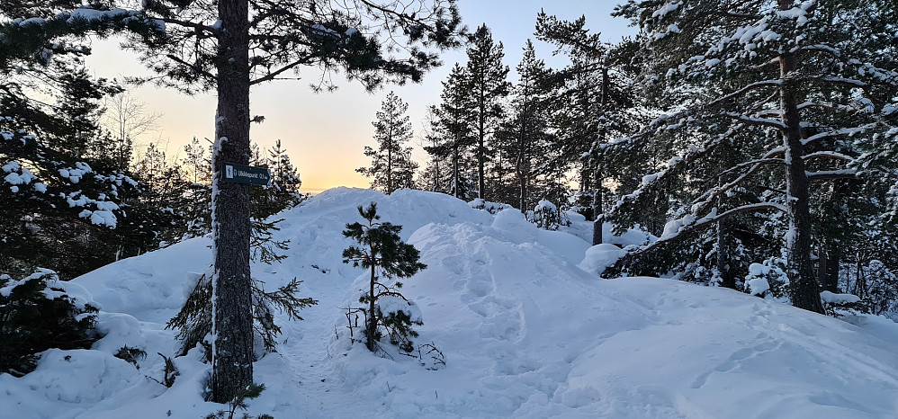 På vei til utsiktspunktet ved Nordre Kolsås