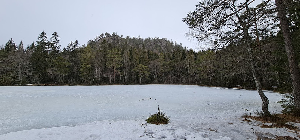 Setertjern