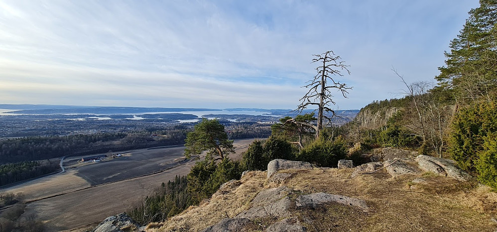 Gråmagan mot Asker