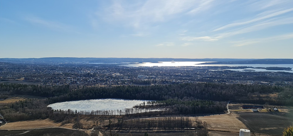 Gråmagan mot Dælivann