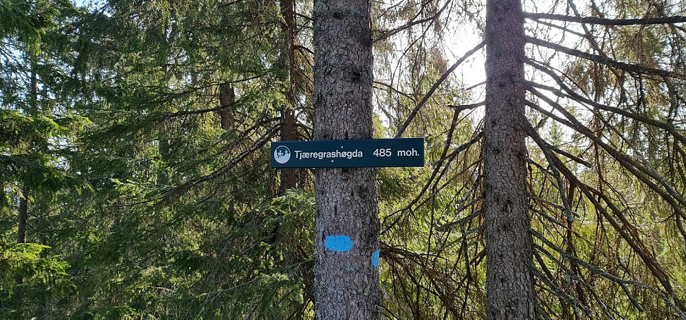 Endelig på toppen