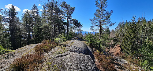 Kolsås NØ