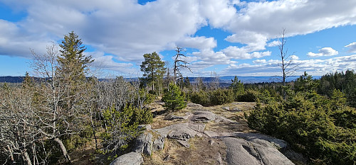Djupdalsåsen mot Oslofjorden