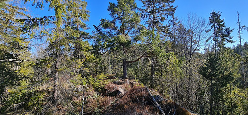 Mitt første besøk på Kløvkollen