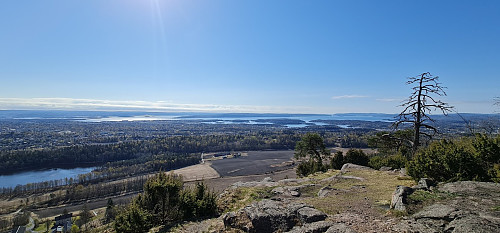Gråmagan mot Drøbak