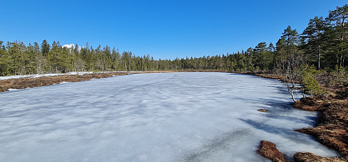 Tjernsøyet
