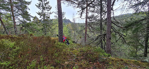 Lille Kolsås