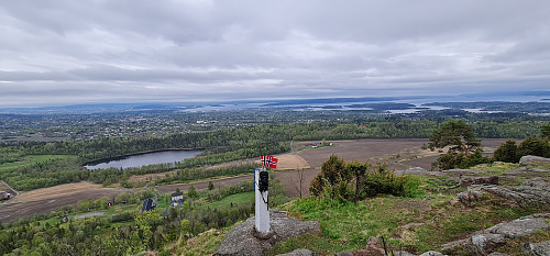 Gråmagan