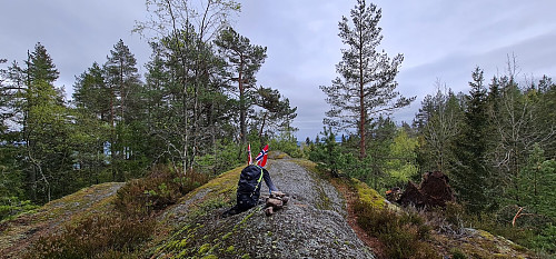 Kolsås NØ