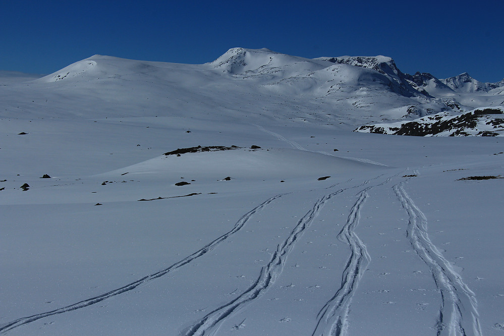 Rasletind