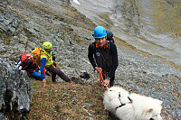 Garm_20160926_57e9732510e1e.jpg