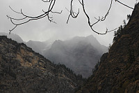 Garm_20180220_5a8c701293e20.jpg