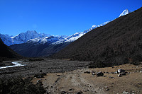 Garm_20180220_5a8c8d38a77f3.jpg
