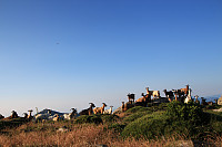 Garm_20180731_5b6074f6bcd09.jpg