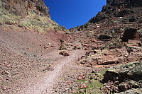 Garm_20180808_5b6b36a01f7c8.jpg