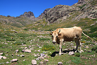 Garm_20180808_5b6b36b5d9a0d.jpg