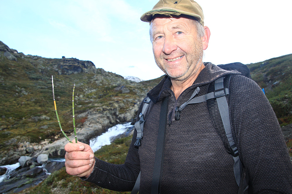 To dagar med konstant naturfagtime. Dette er vistnok eit eller anna gras innan rosefamilien. Skulle eg huske "litt" feil på dette kjem nok fasiten i fyrste kommentaren.